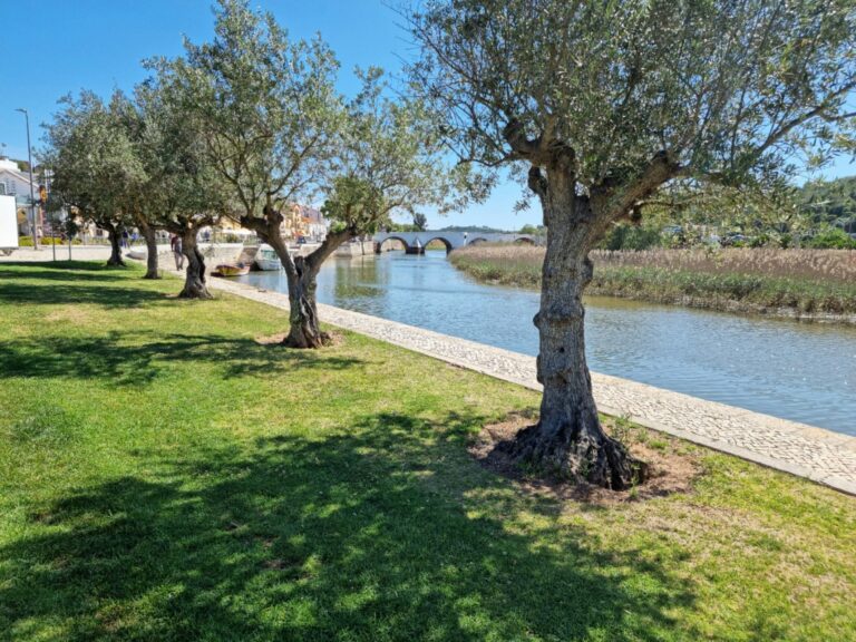 Historic Roman bridge over the Gilao river in Tavira town Algarve Portugal